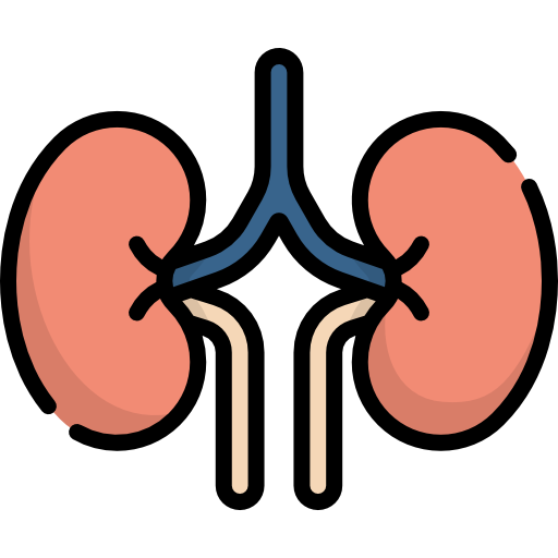 nephrology