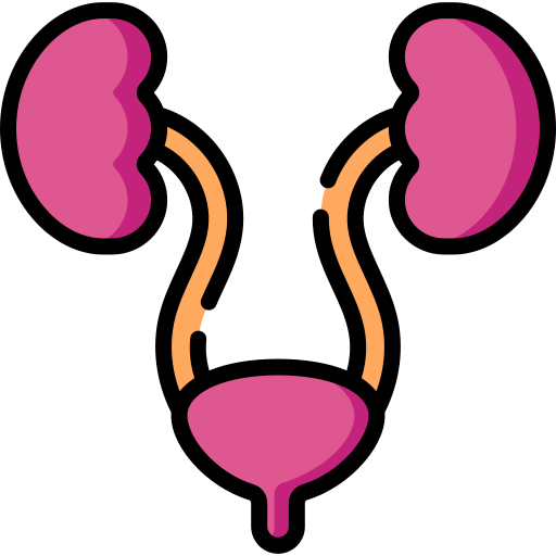 urology